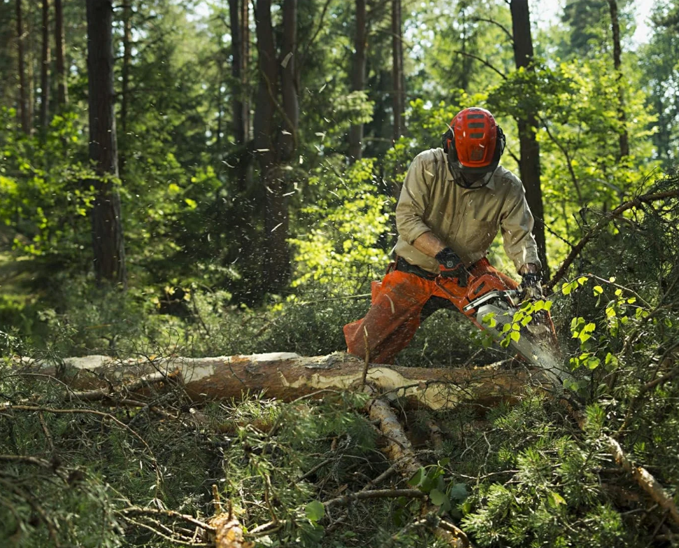 Husqvarna 562XP Mark II Petrol Chainsaw, 59.8 cc, 3.5 kW Power, 45 cm Bar