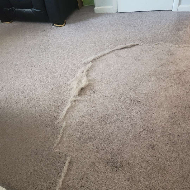 Pet Hair Remover Rake